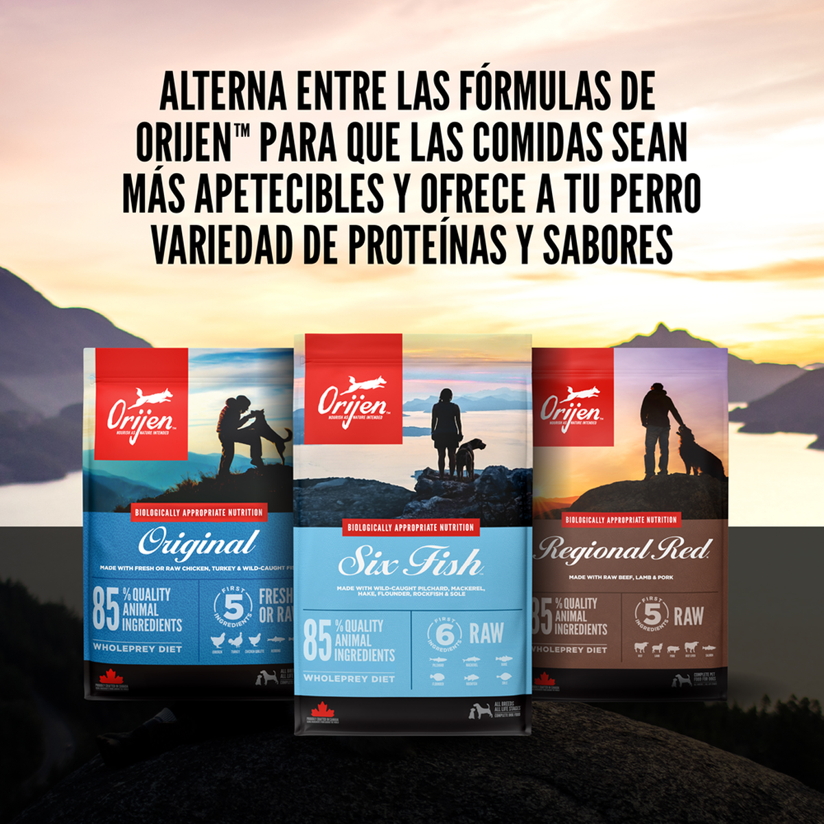 null - Product thumbnail 6.0